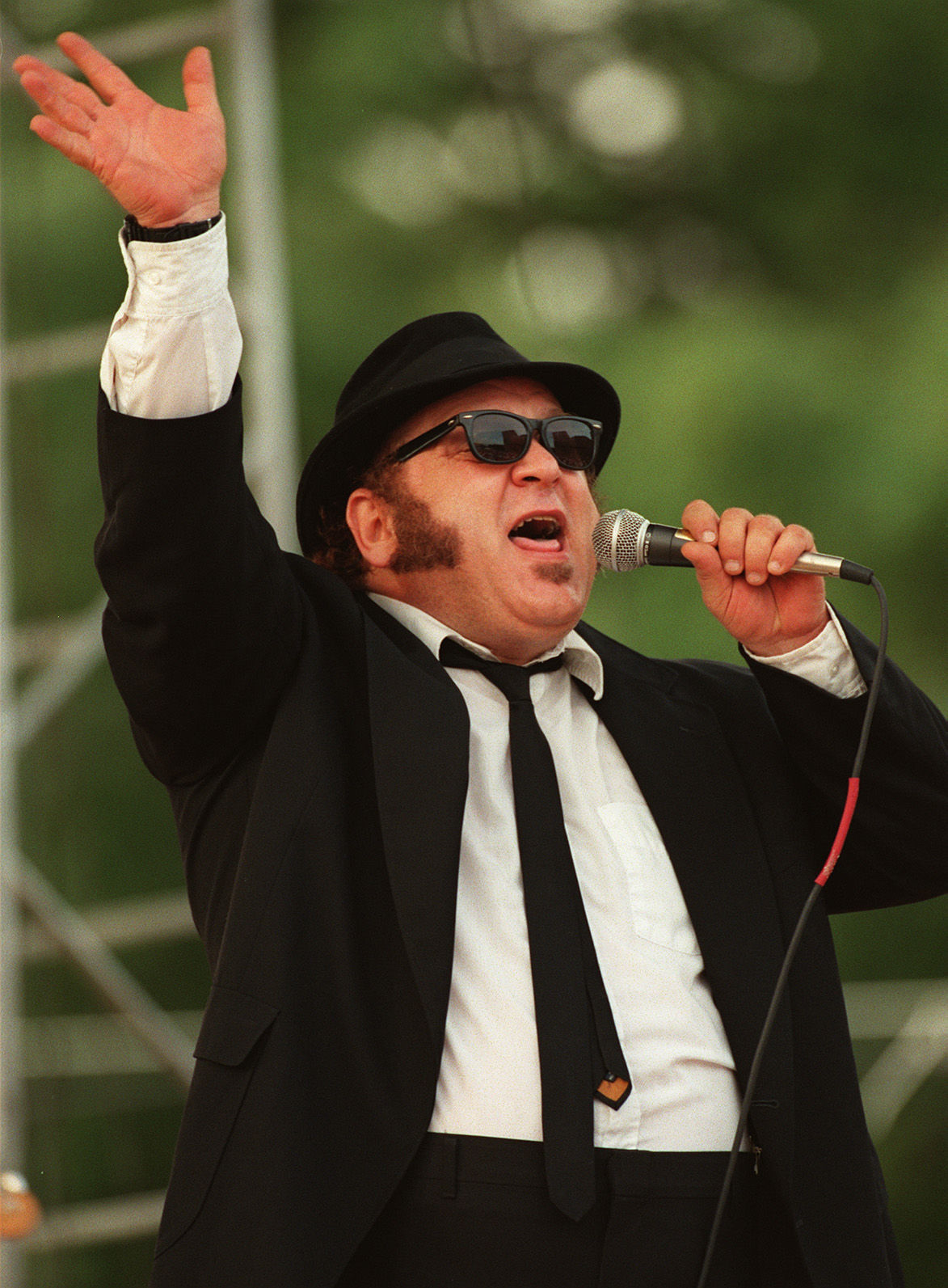 The Blues Brothers